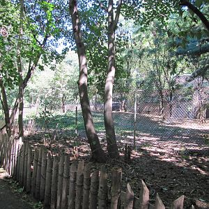Bronx Zoo 2010 - Part of Spotted Hyena exhibit at Carter Giraffe House