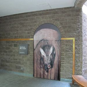 Bronx Zoo 2010 - Entrance to Aardvark section of Carter Giraffe House