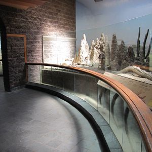 Bronx Zoo 2010 - Second part of Dwarf Mongoose exhibit in Carter Giraffe Ho