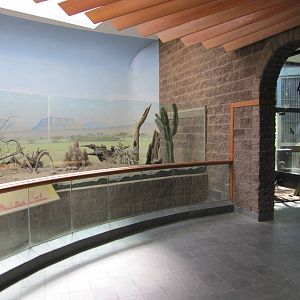 Bronx Zoo 2010 - First part of Dwarf Mongoose exhibit in Carter Giraffe Hou