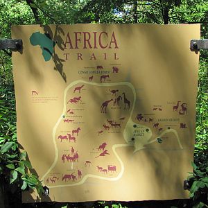 Bronx Zoo 2010 - Old Africa Trail sign