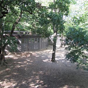 Bronx Zoo 2010 - Second part of Slender-horned Gazelle exhibit