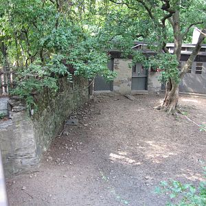 Bronx Zoo 2010 - First part of Slender-horned Gazelle exhibit