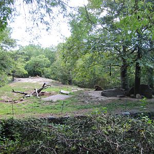 Bronx Zoo 2010 - First part of African Lion exhibit