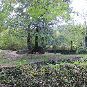 Bronx Zoo 2010 - Second part of African Lion exhibit