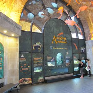Bronx Zoo 2010 - General view in Zoo Center on historic Astor Court