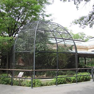 Bronx Zoo 2010 - Aviaries by former Bird House on historic Astor Court