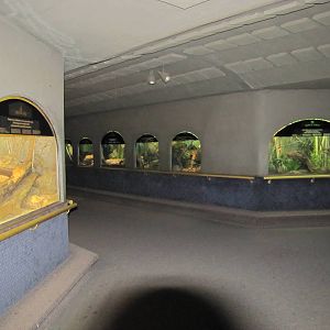 Bronx Zoo 2010 - General view in Mouse House