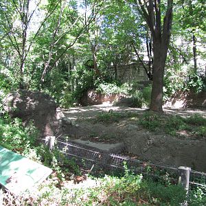 Bronx Zoo 2010 - Babirusa exhibit at Zoo Center on historic Astor Court