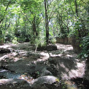 Bronx Zoo 2010 - Babirusa exhibit at Zoo Center on historic Astor Court