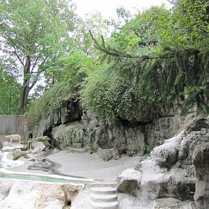 Bronx Zoo 2010 - First part of Polar Bear exhibit