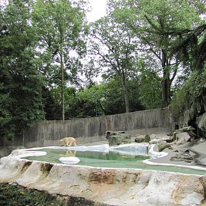 Bronx Zoo 2010 - Second part of Polar Bear exhibit