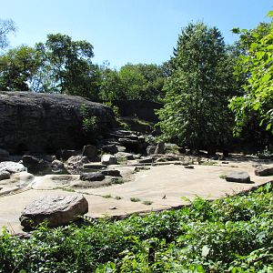 Bronx Zoo 2010 - Second part of Brown Bear exhibit