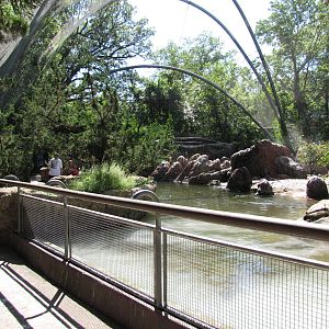Bronx Zoo 2010 - General view in Aitken Sea Bird Colony