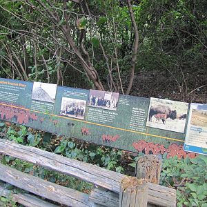 Bronx Zoo 2010 - Sign on how NYZS saved the American Bison