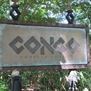 Bronx Zoo 2010 - Congo Gorilla Forest sign