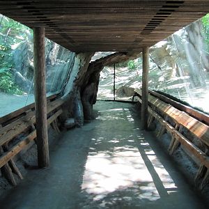 Bronx Zoo 2010 - General view in Congo Gorilla Forest