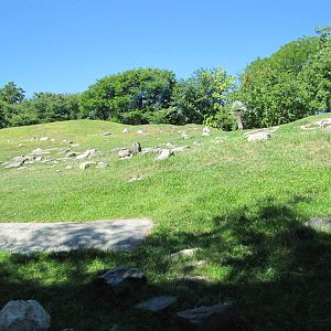Bronx Zoo 2010 - Part of amazing Baboon Reserve