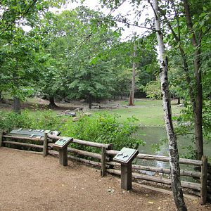 Bronx Zoo 2010 - Front of Pere Davids Deer exhibit