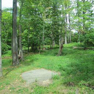 Bronx Zoo 2010 - Part of Amur Tiger exhibit in Tiger Mountain