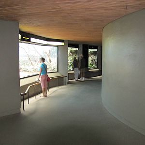 Bronx Zoo 2010 - General view in World of Birds