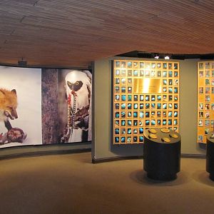 Bronx Zoo 2010 - General view in World of Birds