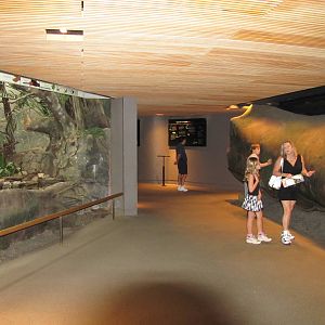 Bronx Zoo 2010 - General view in World of Birds