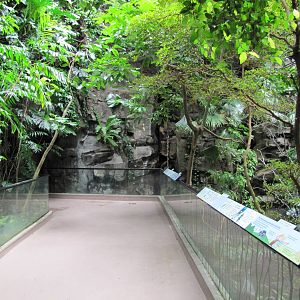 Bronx Zoo 2010 - Exhibit on the higher level in World of Birds