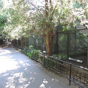 Bronx Zoo 2010 - Pheasant Aviaries