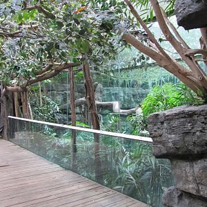 Bronx Zoo 2010 - Side view of Black Panther exhibit in Jungle World