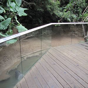 Bronx Zoo 2010 - Front of Malayan Tapir exhibit in Jungle World