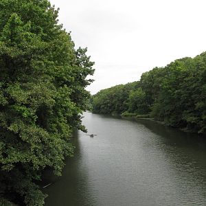 Bronx Zoo 2010 - On the Wild Asia Monorail crossing the Bronx River