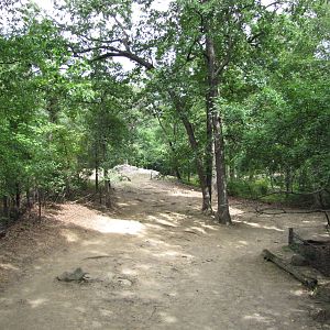 Bronx Zoo 2010 - Part of Indian Rhinoceros exhibit in Wild Asia