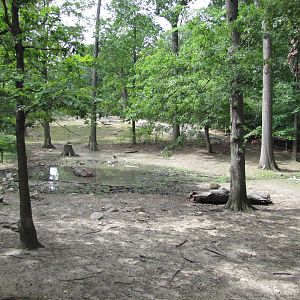 Bronx Zoo 2010 - Part of Indian Rhinoceros exhibit in Wild Asia