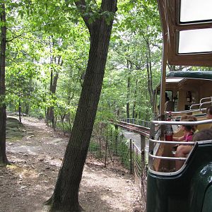 Bronx Zoo 2010 - Monorail passing through Wild Asia