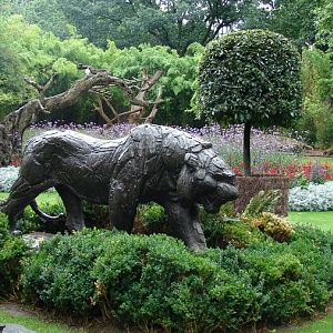Amur Tiger Sculpture