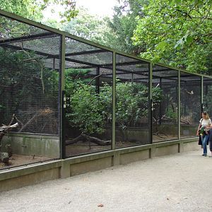 Aviary