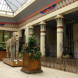 Egyptian-Temple inside (Elephant-House)