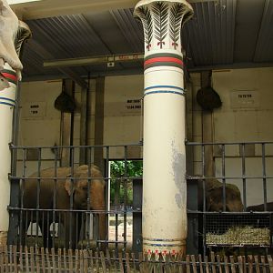 Asiatic elephant exhibit inside (Egyptian-Temple)