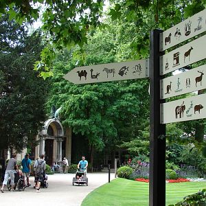 General View, Bird-House