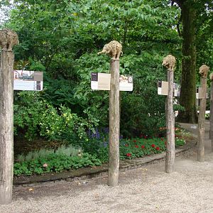 General View, Elephant-Parade