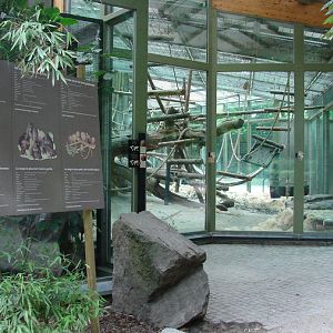 Gorilla exhibit