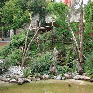 Spectacled Bear and White-nosed Coati exhibit