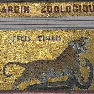 Entrance Tiger-Mosaic