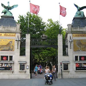 Entrance Zoo-Gate