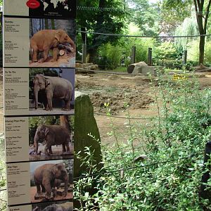 Asian Elephant sign