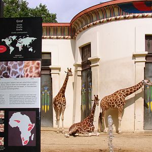 Egyptian-Temple, Giraffe exhibit