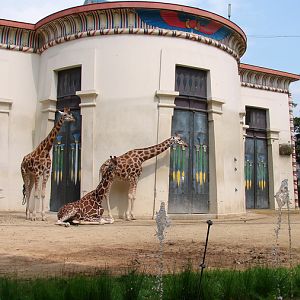Egyptian-Temple, Giraffe exhibit