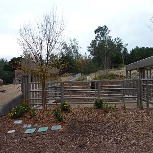 SDWAP Dec 2010 - New Elephant Gate