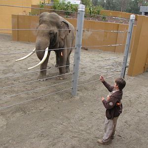 Billy And Keeper - December 17, 2010